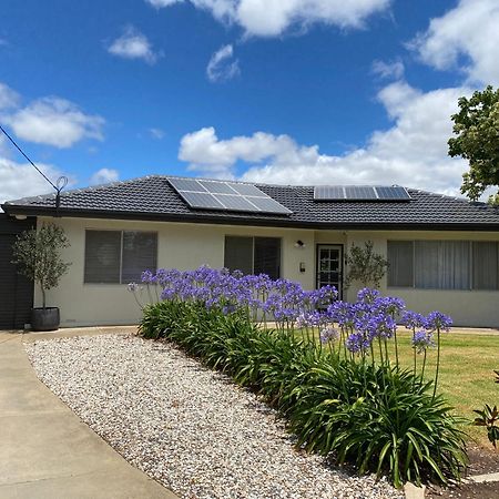 Para House, Tanunda. In The Heart Of The Barossa Valley!. Villa Екстериор снимка